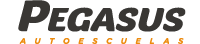 Agencia de colocación Pegasus